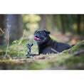 Bild in Galerie-Betrachter laden, Hundespielzeug Bonnie Bone - BenzoDesign