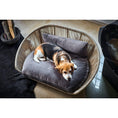 Bild in Galerie-Betrachter laden, Design-Hundebett Vogue OXFORD - BenzoDesign