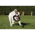 Cargar imagen en el visor de galería, Hundespielzeug Ringo Ring - BenzoDesign