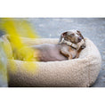 Cargar imagen en el visor de galería, Hundebett Classic - TEDDY CREME - BenzoDesign