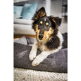 Carica l'immagine nel visualizzatore di gallerie,Hundebett Classic - TUDOR ANTHRAZIT - BenzoDesign