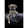 Cargar imagen en el visor de galería, Orthopädisches Hundebett - GLAM GRAPHITE - BenzoDesign