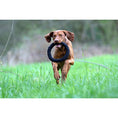 Cargar imagen en el visor de galería, Hundespielzeug Ringo Ring - BenzoDesign