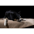 Charger l'image dans la visionneuse de galerie,Hundedecke TEDDY CREAM - BenzoDesign