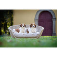 Bild in Galerie-Betrachter laden, Design-Hundebett Vogue SMOOTH - BenzoDesign
