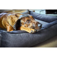 Cargar imagen en el visor de galería, Hundebett Classic - BUFFALO GRAPHITE - BenzoDesign