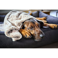 Cargar imagen en el visor de galería, Hundedecke COZY BEIGE - Webpelz Decke - BenzoDesign