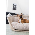 Bild in Galerie-Betrachter laden, Design-Hundebett Vogue SMOOTH - BenzoDesign