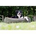 Cargar imagen en el visor de galería, Hundebett Classic - OXFORD OLIVE - BenzoDesign