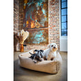 Cargar imagen en el visor de galería, Hundebett Classic - TEDDY CREME - BenzoDesign