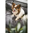 Bild in Galerie-Betrachter laden, Design-Hundebett Prado TUDOR - BenzoDesign