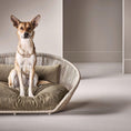 Bild in Galerie-Betrachter laden, Design-Hundebett Vogue OXFORD - BenzoDesign