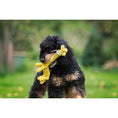 Carica l'immagine nel visualizzatore di gallerie,Hundespielzeug Wild Life 3tlg - BenzoDesign