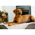 Cargar imagen en el visor de galería, Hundedecke COZY BEIGE - Webpelz Decke - BenzoDesign
