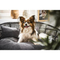 Bild in Galerie-Betrachter laden, Design-Hundebett Prado TUDOR - BenzoDesign