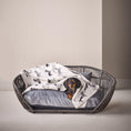 Charger l'image dans la visionneuse de galerie,Hundedecke TECKEL - Wendedecke mit Dackelmotiv - BenzoDesign