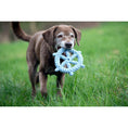 Cargar imagen en el visor de galería, Skipper - Kult-Spielzeug für Hunde - BenzoDesign