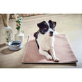Charger l'image dans la visionneuse de galerie,Hundedecke BUFFALO CREAM Multifunktionsdecke - BenzoDesign