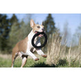 Cargar imagen en el visor de galería, Hundespielzeug Ringo Ring - BenzoDesign