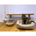 Cargar imagen en el visor de galería, Hundebett Classic - TEDDY CREME - BenzoDesign