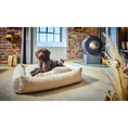Cargar imagen en el visor de galería, Hundebett Classic - TEDDY CREME - BenzoDesign