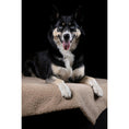 Charger l'image dans la visionneuse de galerie,Hundedecke TEDDY CREAM - BenzoDesign