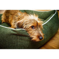 Charger l'image dans la visionneuse de galerie,Hundebett Classic - ECO GREEN - BenzoDesign