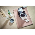 Charger l'image dans la visionneuse de galerie,Hundedecke BUFFALO CREAM Multifunktionsdecke - BenzoDesign