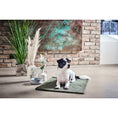 Charger l'image dans la visionneuse de galerie,Hundedecke TEDDY GREEN - BenzoDesign