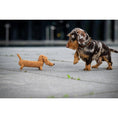 Bild in Galerie-Betrachter laden, Hundespielzeug Diego Dackel - BenzoDesign