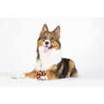 Cargar imagen en el visor de galería, Hundespielzeug Schleuderball - BenzoDesign