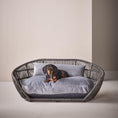 Bild in Galerie-Betrachter laden, Design-Hundebett Prado OXFORD - BenzoDesign