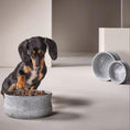 Carica l'immagine nel visualizzatore di gallerie,ROCKY - Napf für Hund und Katze - BenzoDesign