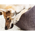 Cargar imagen en el visor de galería, Orthopädisches Hundebett - GLAM GRAPHITE - BenzoDesign
