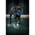 Cargar imagen en el visor de galería, Hundespielzeug Maxi Schleuderball - BenzoDesign