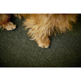 Cargar imagen en el visor de galería, Hundebett Classic - TEDDY GREEN - BenzoDesign