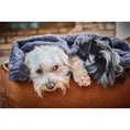 Charger l'image dans la visionneuse de galerie,Hundedecke COZY STONE - Webpelz Decke - BenzoDesign