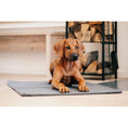 Charger l'image dans la visionneuse de galerie,Hundedecke TEDDY GRAY - BenzoDesign