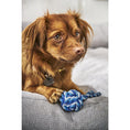 Cargar imagen en el visor de galería, Hundespielzeug Schleuderball - BenzoDesign
