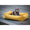 Charger l'image dans la visionneuse de galerie,Hundebett Classic - TUDOR GOLD - BenzoDesign