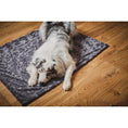 Charger l'image dans la visionneuse de galerie,Hundedecke COZY STONE - Webpelz Decke - BenzoDesign