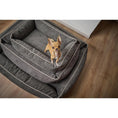 Charger l'image dans la visionneuse de galerie,Hundebett Classic - ECO GRAPHITE - BenzoDesign