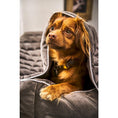 Charger l'image dans la visionneuse de galerie,Hundedecke OXFORD Stone - BenzoDesign