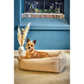 Cargar imagen en el visor de galería, Hundebett Classic - TEDDY CREME - BenzoDesign