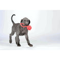 Cargar imagen en el visor de galería, Hundespielzeug Schleuderball - BenzoDesign