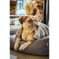 Cargar imagen en el visor de galería, Hundedecke COZY BEIGE - Webpelz Decke - BenzoDesign