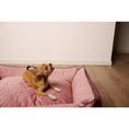 Charger l'image dans la visionneuse de galerie,Hundebett Classic - GLAM ROSE - BenzoDesign