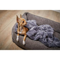 Carica l'immagine nel visualizzatore di gallerie,Hundebett Classic - NOVA STONE - BenzoDesign
