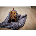 Charger l'image dans la visionneuse de galerie,Hundedecke COZY STONE - Webpelz Decke - BenzoDesign