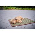 Charger l'image dans la visionneuse de galerie,Hundedecke OXFORD Olive - BenzoDesign